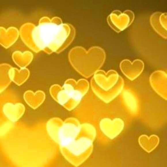 Meet your posher, Cindy - Picture 1 of 1